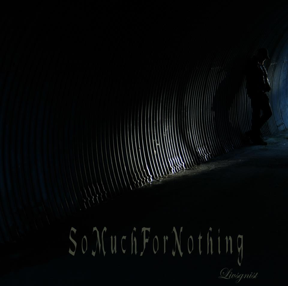smfn cover