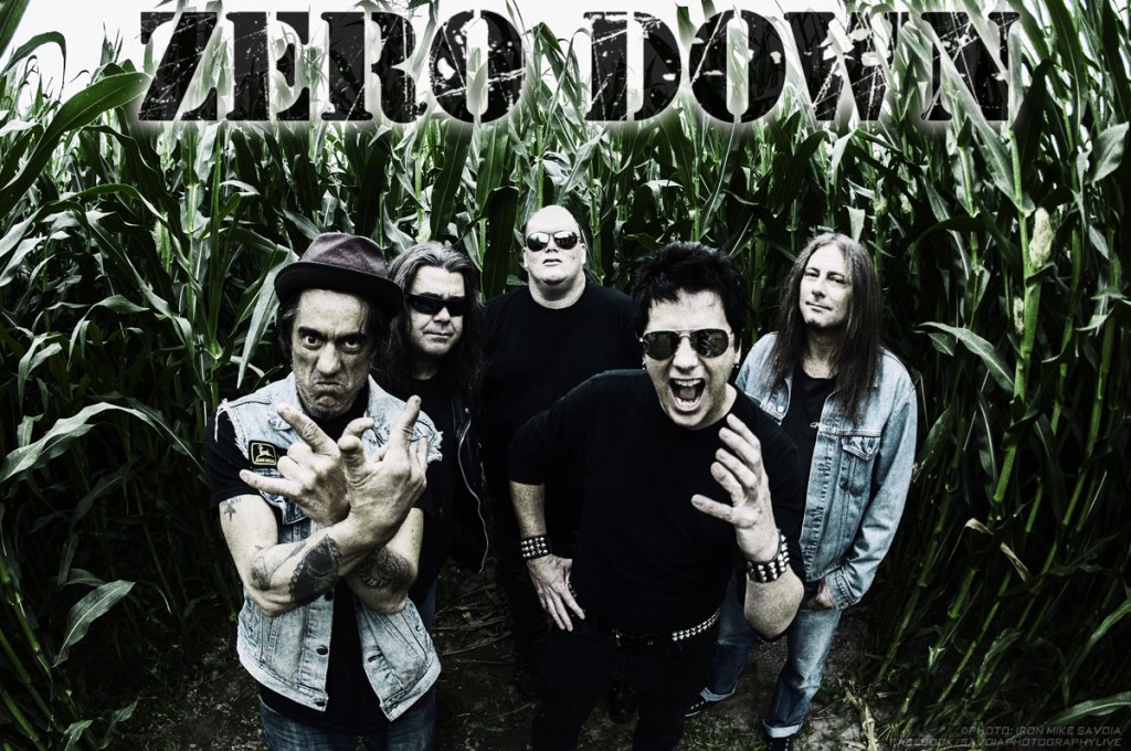 ZeroDown_Promo2014a_Web